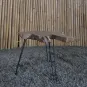morepic-9